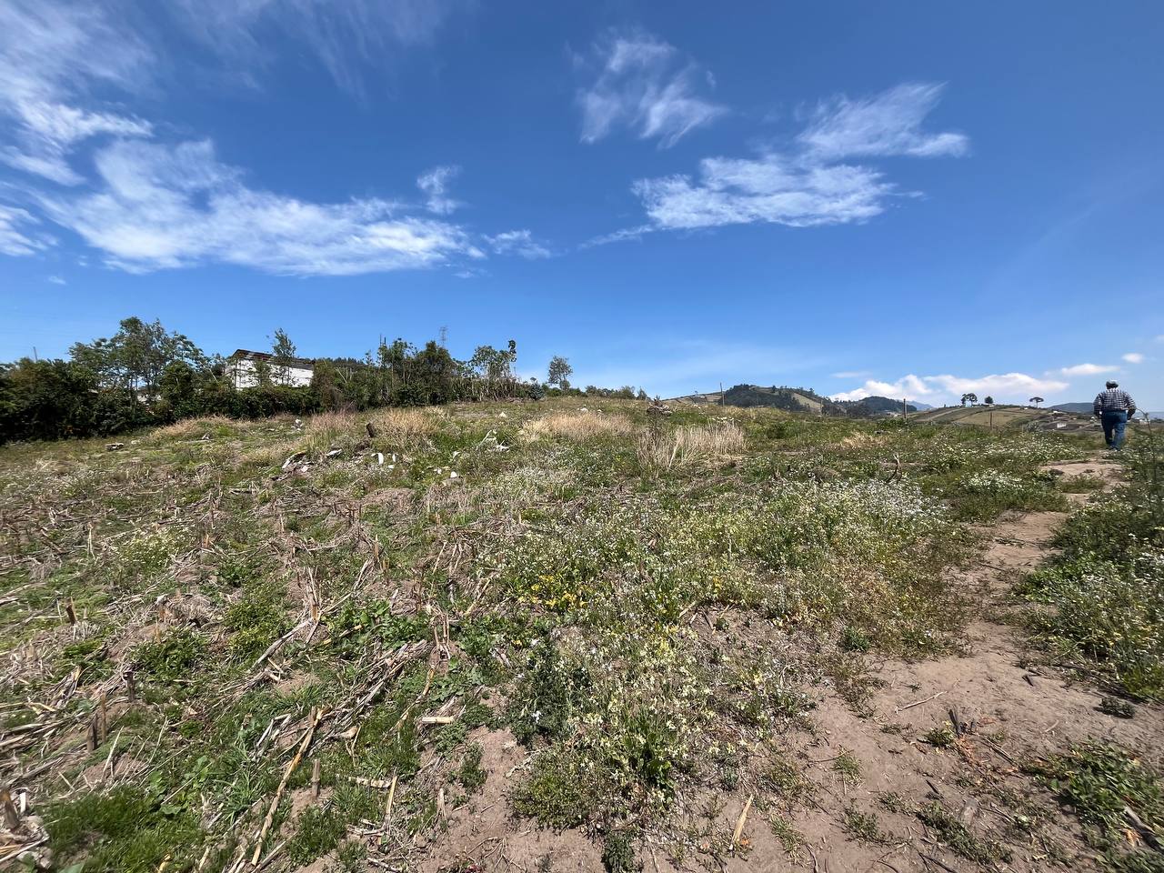 Urbanización San Gregorio